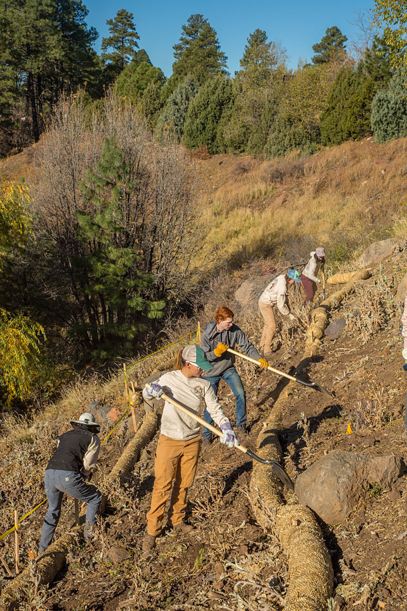 Stabilize steep slope